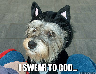  i swear to god... -  i swear to god...  Misc