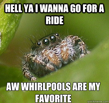 hell ya i wanna go for a ride aw whirlpools are my favorite - hell ya i wanna go for a ride aw whirlpools are my favorite  Misunderstood Spider
