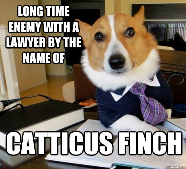 Long time enemy with a lawyer by the name of catticus finch  Lawyer Dog