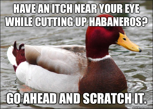Have an itch near your eye while cutting up habaneros? Go ahead and scratch it.  Malicious Advice Mallard