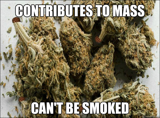 contributes to mass can't be smoked - contributes to mass can't be smoked  Misc
