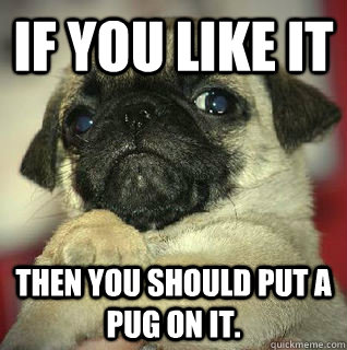 If you like it then you should put a pug on it. - If you like it then you should put a pug on it.  SMUG PUG