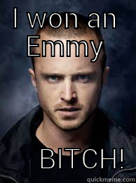 bitch emmy - I WON AN EMMY                                                                                          BITCH! Misc