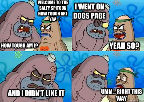Welcome to the Salty Spitoon how tough are ya? HOW TOUGH AM I? I Went On Dogs Page And I Didn't Like it Umm... Right this way Yeah so?  Salty Spitoon How Tough Are Ya