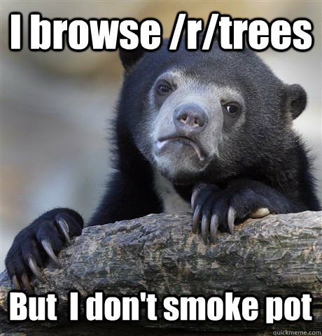 I browse /r/trees But  I don't smoke pot - I browse /r/trees But  I don't smoke pot  Confession Bear