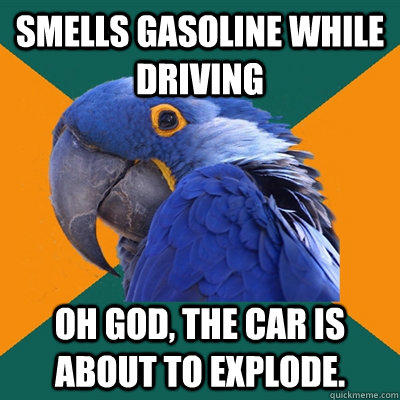 Smells gasoline while driving Oh god, the car is about to explode.  Paranoid Parrot