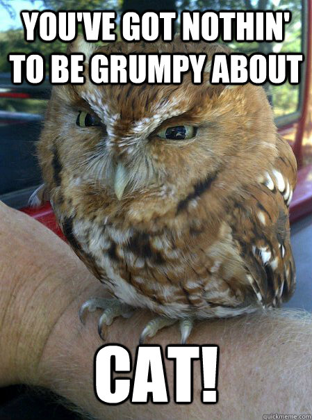 You've got nothin' to be grumpy about CAT!  