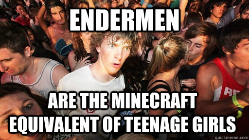 Endermen are the minecraft equivalent of teenage girls   Sudden Clarity Clarence