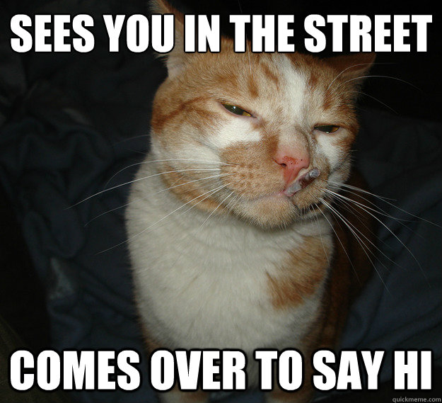 Sees you in the street comes over to say hi  Cool Cat Craig