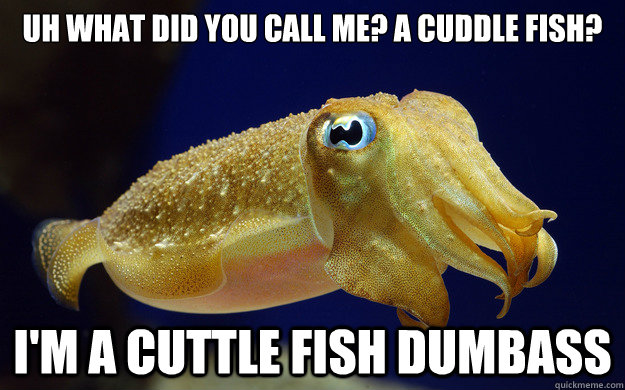 Uh what did you call me? a cuddle fish? I'm a cuttle fish dumbass  cute cuttlefish