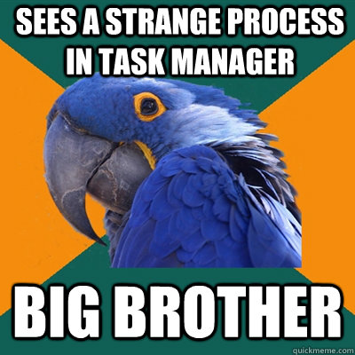 Sees a strange process in task manager big brother  Paranoid Parrot