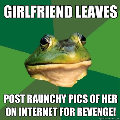 Girlfriend leaves Post raunchy pics of her on Internet for revenge!  Foul Bachelor Frog