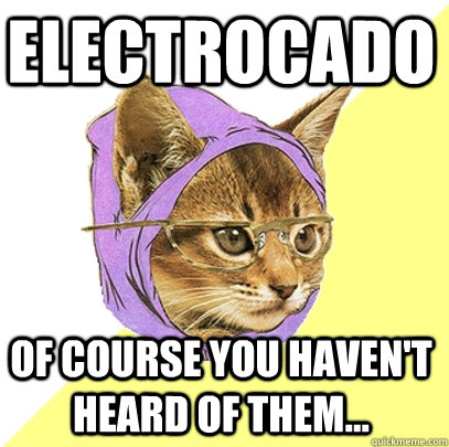 Electrocado of course you haven't heard of them...  Hipster Kitty