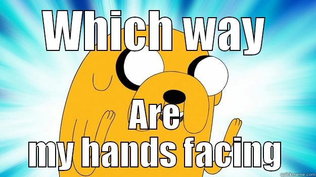 Seriously. What? - WHICH WAY ARE MY HANDS FACING Jake The Dog