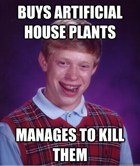 buys artificial house plants manages to kill them  Bad Luck Brian