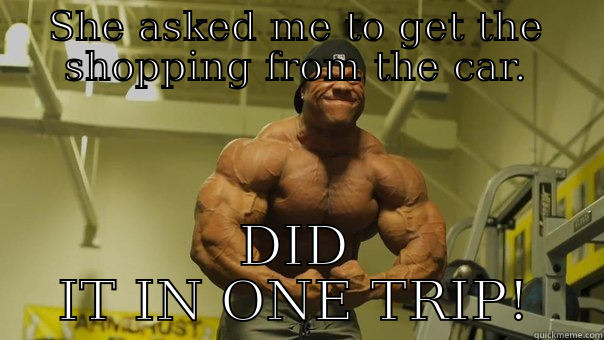 SHE ASKED ME TO GET THE SHOPPING FROM THE CAR. DID IT IN ONE TRIP! Misc