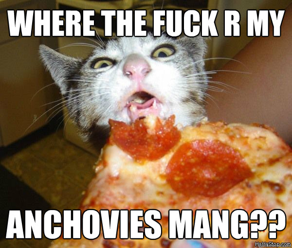 where the fuck r my  anchovies mang??  