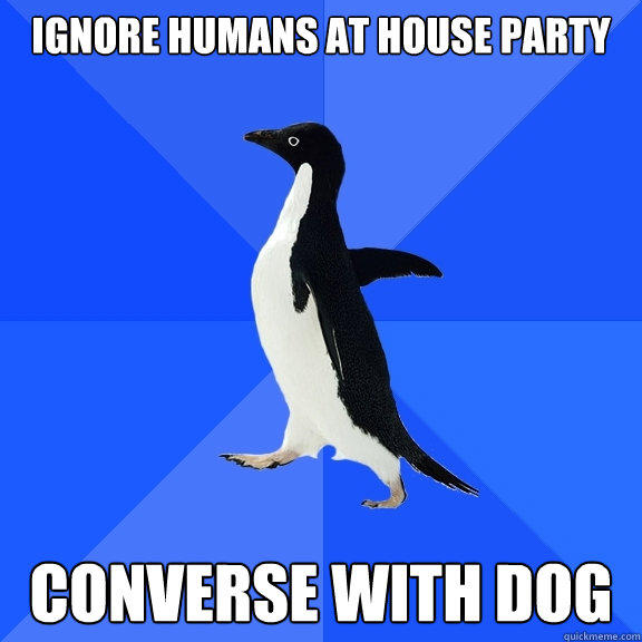 Ignore humans at house party converse with dog  