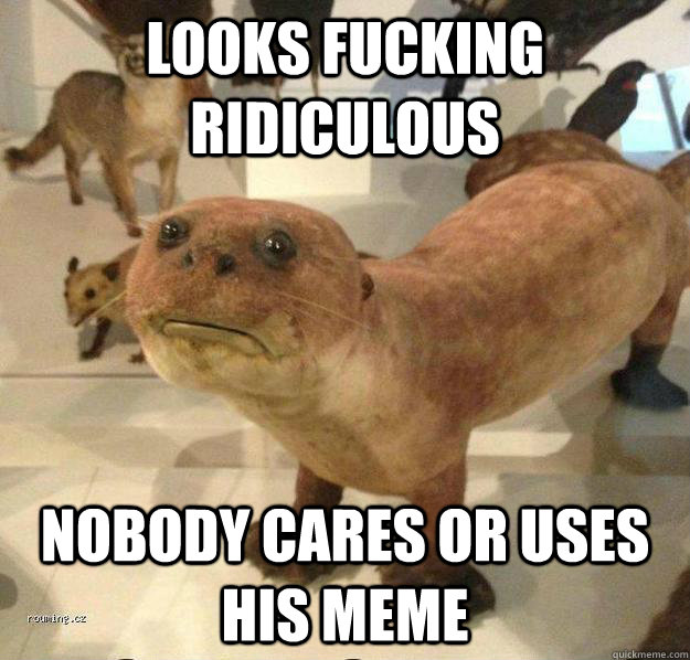 looks fucking ridiculous nobody cares or uses his meme  betrayed otter