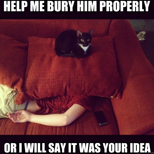 Help me bury him properly Or I will say it was your idea  jealous cat