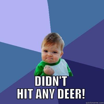  DIDN'T HIT ANY DEER! Success Kid