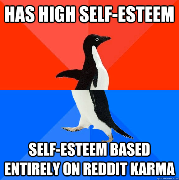 has high self-esteem self-esteem based entirely on reddit karma  Socially Awesome Awkward Penguin