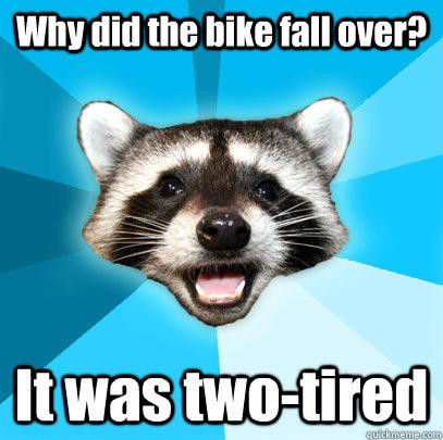 Why did the bike fall over? It was two-tired - Why did the bike fall over? It was two-tired  Lame Pun Coon