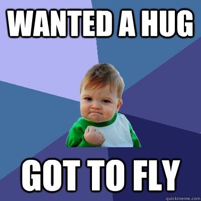 wanted a hug got to fly  Success Kid