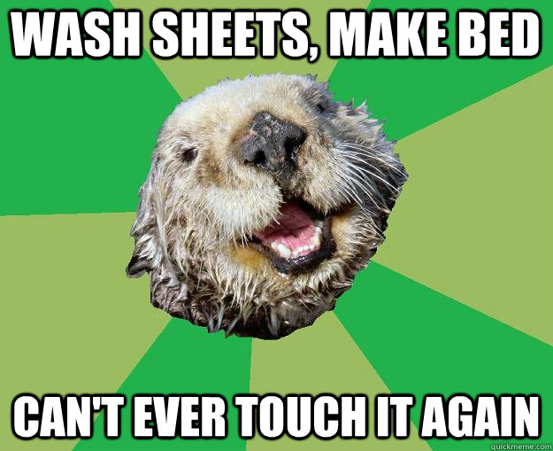 Wash sheets, make bed Can't ever touch it again  OCD Otter