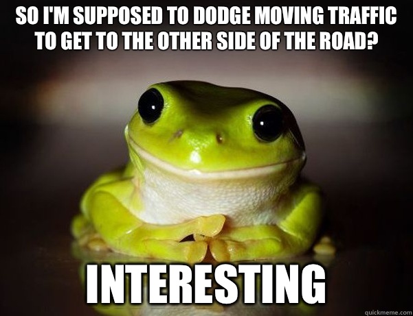 So I'm supposed to dodge moving traffic to get to the other side of the road? Interesting  Fascinated Frog