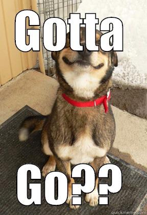 GOTTA GO?? Good Dog Greg