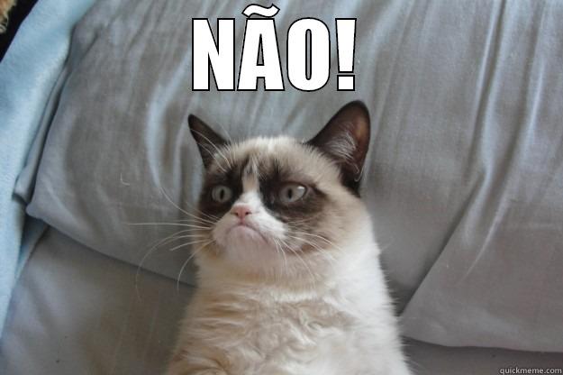 funny cat making a face - NÃO!  Grumpy Cat