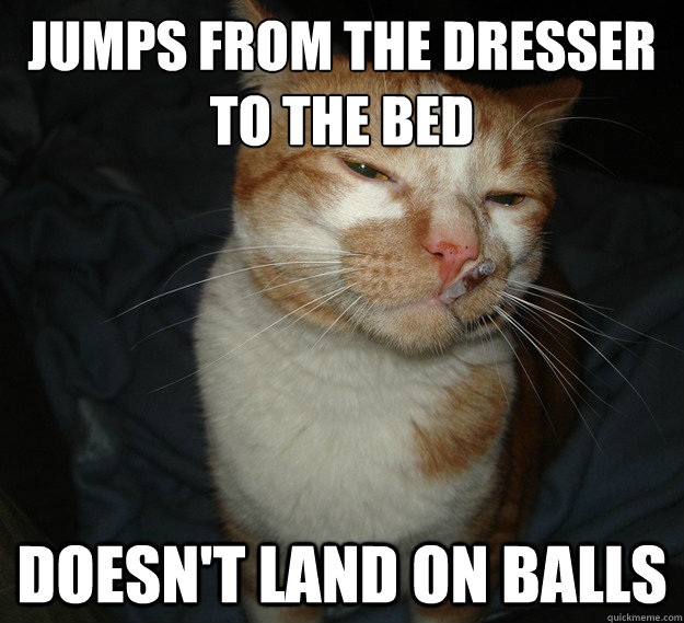 Jumps from the dresser
to the bed doesn't land on balls  Cool Cat Craig