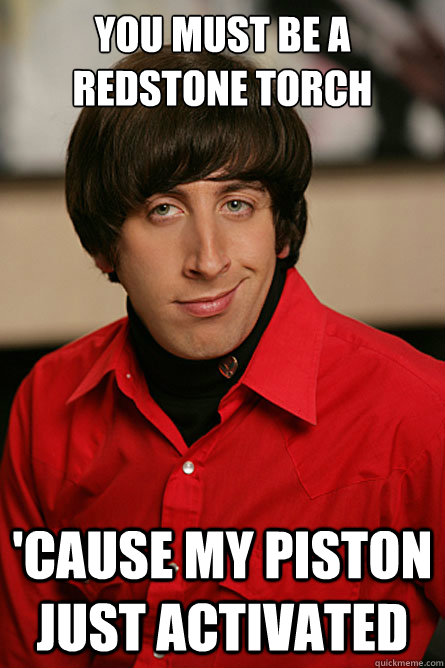 You must be a redstone torch 'Cause my piston just activated  Pickup Line Scientist