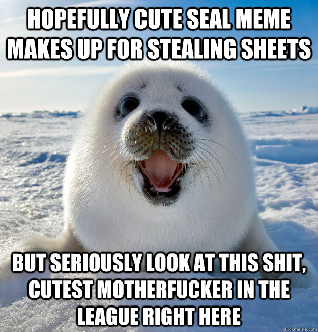Hopefully cute seal meme makes up for stealing sheets But seriously look at this shit, cutest motherfucker in the league right here  Easily Pleased Seal