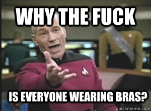 Why the fuck Is everyone wearing bras?  Annoyed Picard