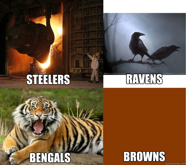 Steelers Ravens Bengals Browns - Steelers Ravens Bengals Browns  Misc