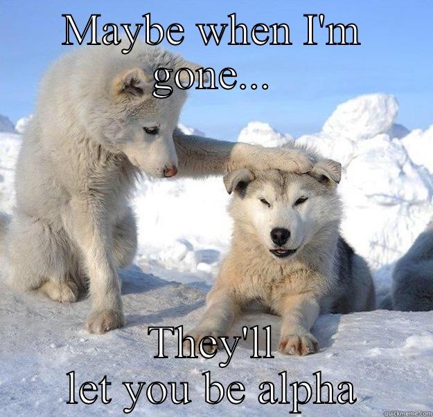 MAYBE WHEN I'M GONE... THEY'LL LET YOU BE ALPHA Caring Husky
