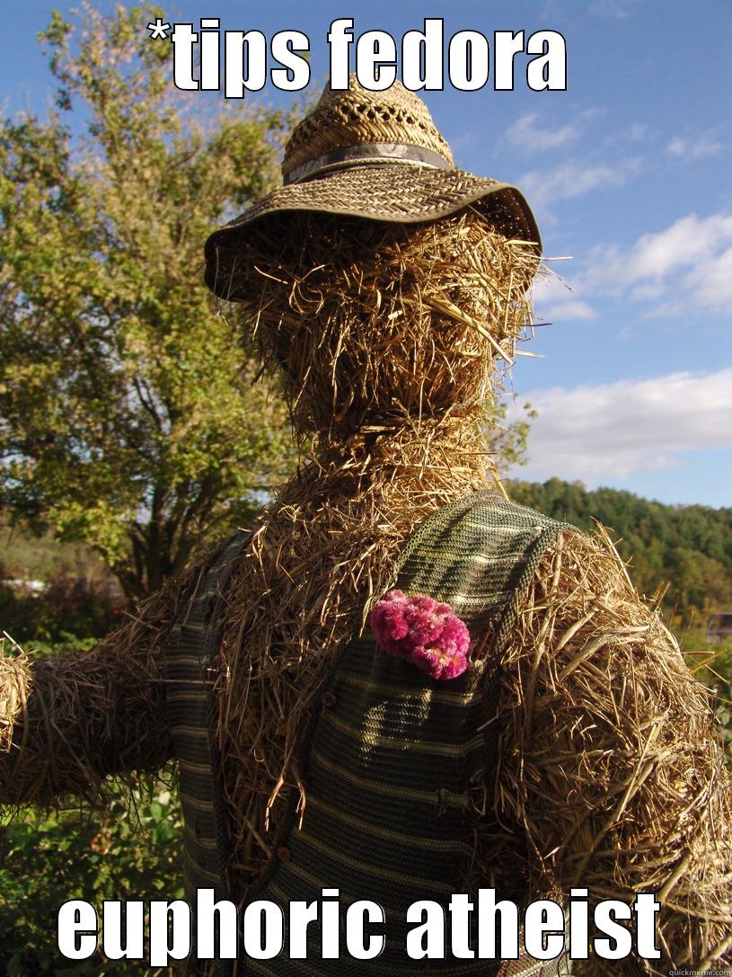 Strawman Argument - *TIPS FEDORA EUPHORIC ATHEIST Misc
