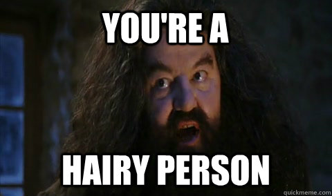 You're a  Hairy person - You're a  Hairy person  Hagrid