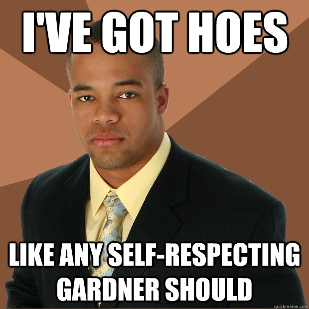 i've got hoes like any self-respecting gardner should  Successful Black Man