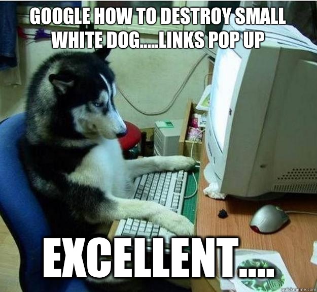 Google how to destroy small white dog.....links pop up  Excellent....  Disapproving Dog