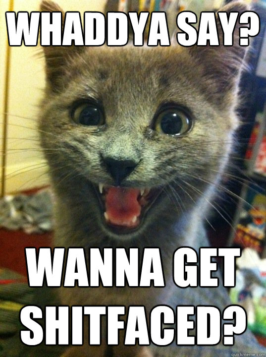 whaddya say? wanna get shitfaced?  freaky party cat