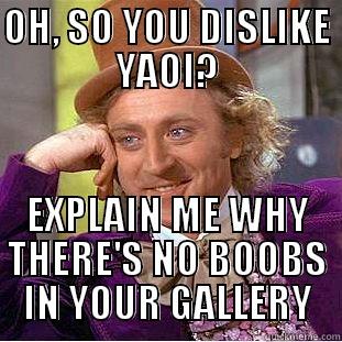 OH, SO YOU DISLIKE YAOI? EXPLAIN ME WHY THERE'S NO BOOBS IN YOUR GALLERY Condescending Wonka
