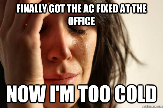 Finally got the AC fixed at the office Now I'm too cold  First World Problems