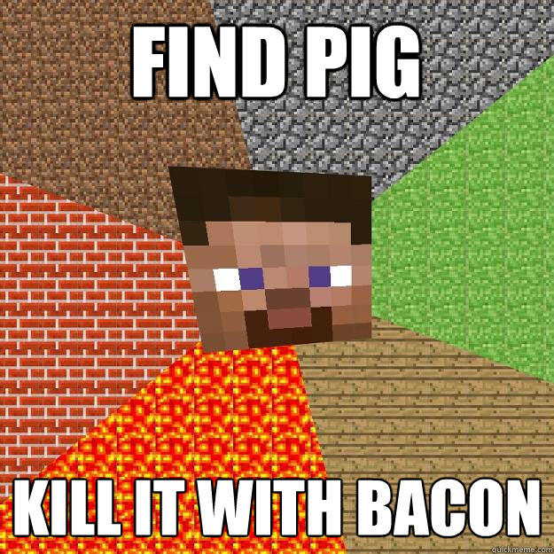 find pig kill it with bacon  Minecraft