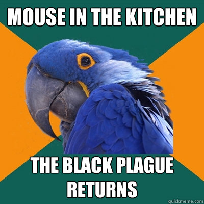 Mouse in the kitchen the black plague returns  Paranoid Parrot