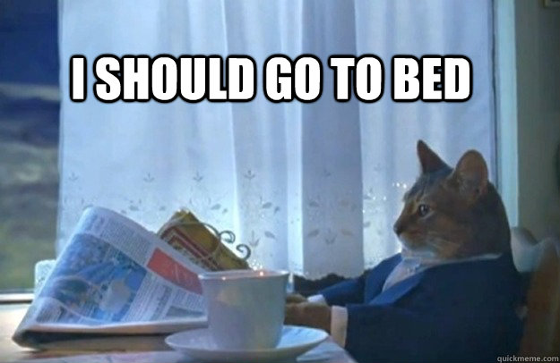 I should go to bed  Sophisticated Cat