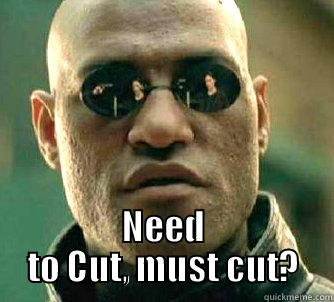  NEED TO CUT, MUST CUT? Matrix Morpheus