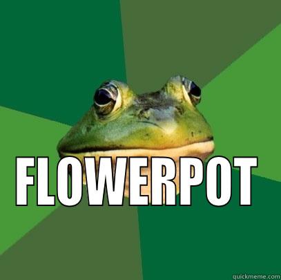 FLOWERPOT Foul Bachelor Frog